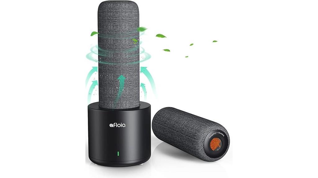 compact dehumidifier with heater