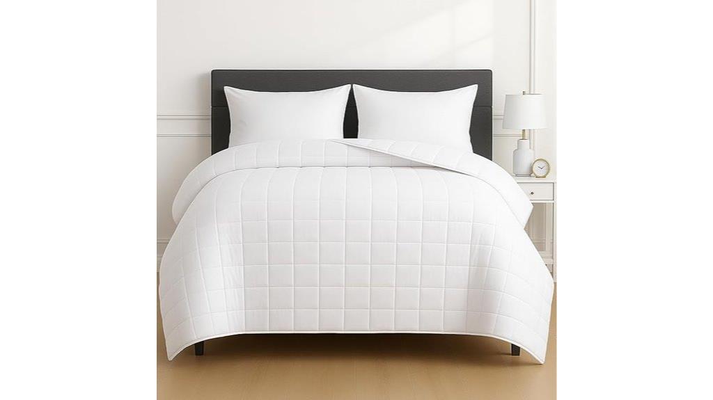 king size 50 lbs blanket