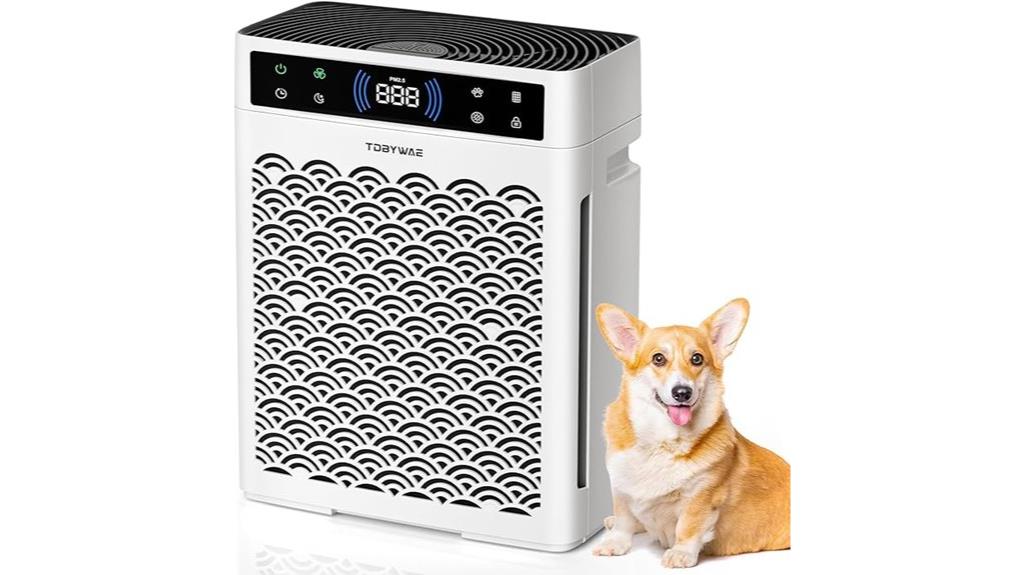 large room air purifier