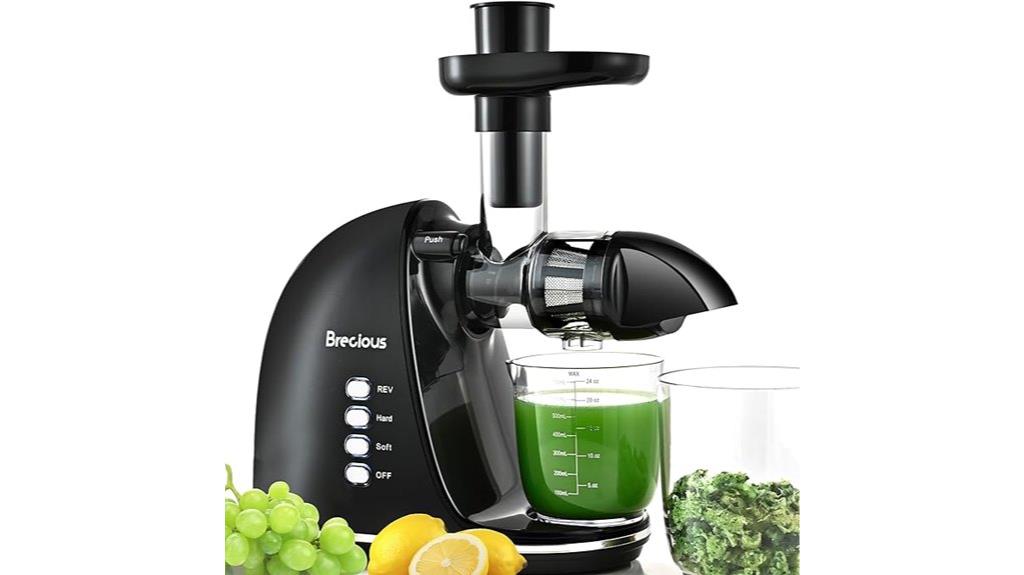 quiet slow juicing machine
