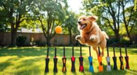 top automatic dog ball launchers