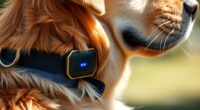 top gps dog collars
