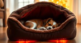 top heated pet bed picks