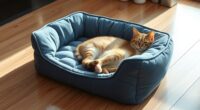 top luxury orthopedic cat beds