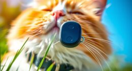 top pet gps devices