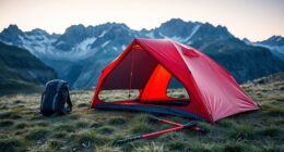 top ultralight backpacking tents
