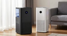 choosing between moisture and air quality