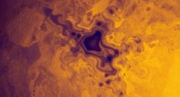 detecting concealed leaks visually