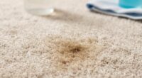 effective pet urine odor removal