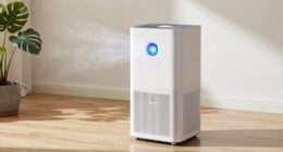 indoor air purifier concerns