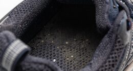 moisture promotes bacteria growth