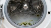 washing machine biofilm odor