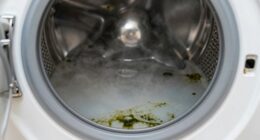 washing machine biofilm odor