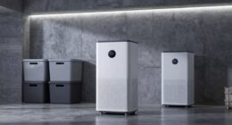 top dehumidifiers for basements