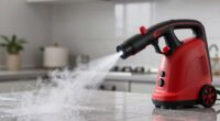 top handheld steam cleaner list