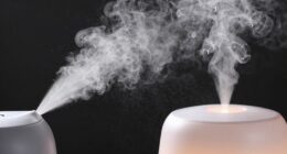 different humidifier types explained
