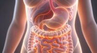 digestive health affects energy