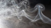 monthly discharge variation patterns