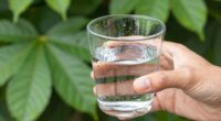 water intake affects digestion