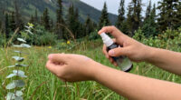I Grew Up in Alaska. Trust Me, I Know Mosquitoes. These Hacks Actually Work.