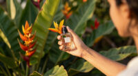 10 Best Tropical Perfumes in 2026