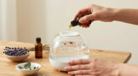 Best Aromatherapy Diffusers For Stress Relief Compared