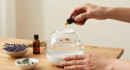 Best Aromatherapy Diffusers For Stress Relief Compared