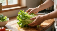 Cyclosporiasis Outbreak Iceberg Lettuce Safety